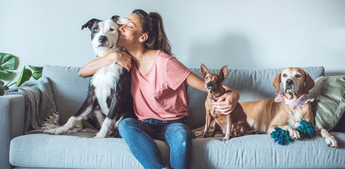 Happy pet with owner